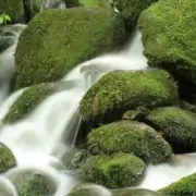 Fertility acupuncture for trying to conceive