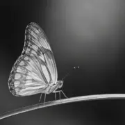 Acupuncture in Auckland for anxiety, depression and stress