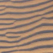 Chinese Medicine for Polycystic kidney disease