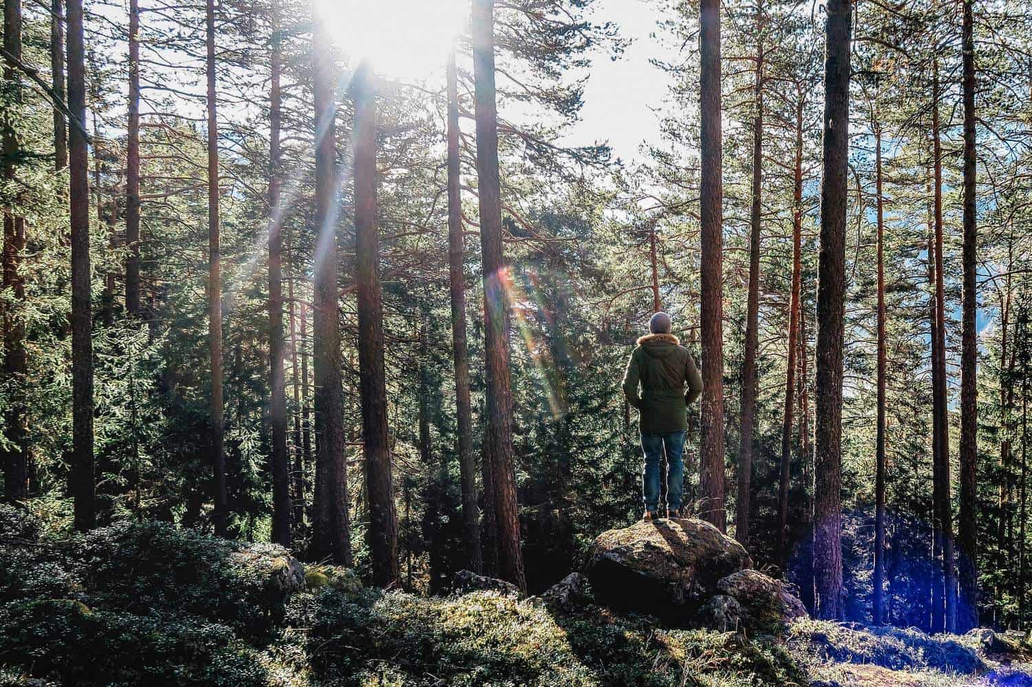 Acupuncture for Depression » Dr Vitalis