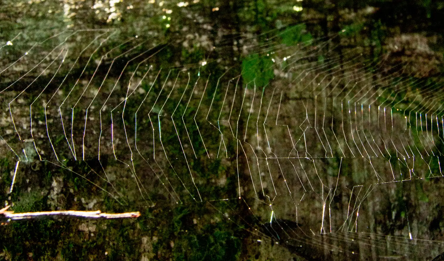 Side effects of Acupuncture » Dr Vitalis